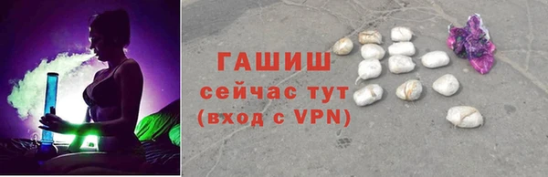 индика Нягань