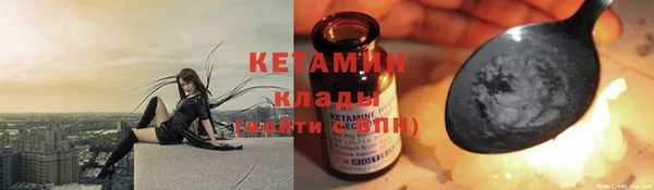 индика Нягань