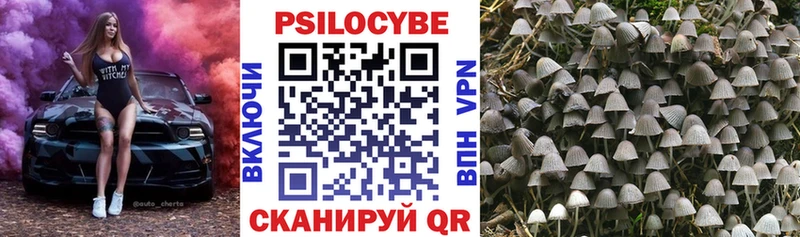 Галлюциногенные грибы мухоморы  Алзамай 